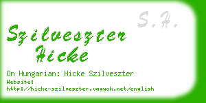 szilveszter hicke business card